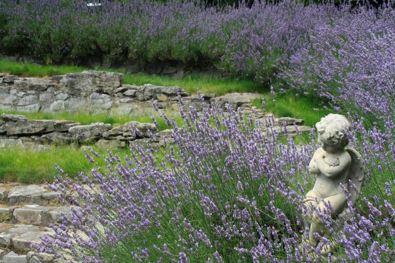 Bed & Breakfast Bradleys Garden Taumarunui